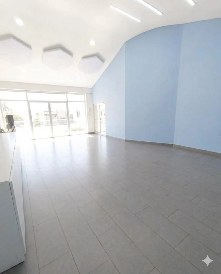 Amplia Propiedad Comercial — foto 3 de 9